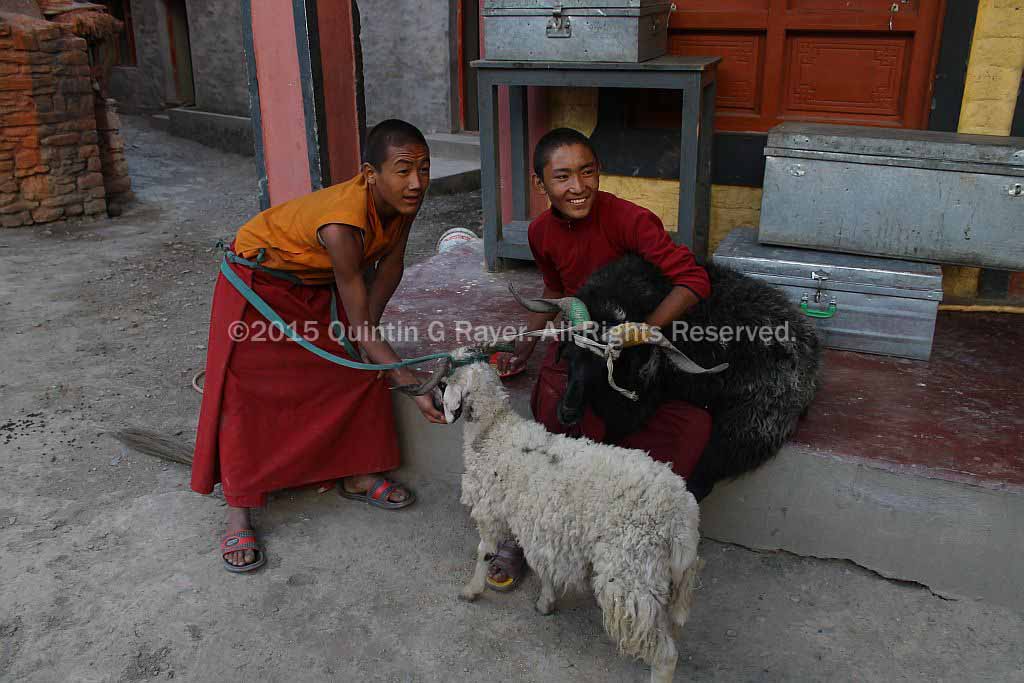 Kagbeni Monks